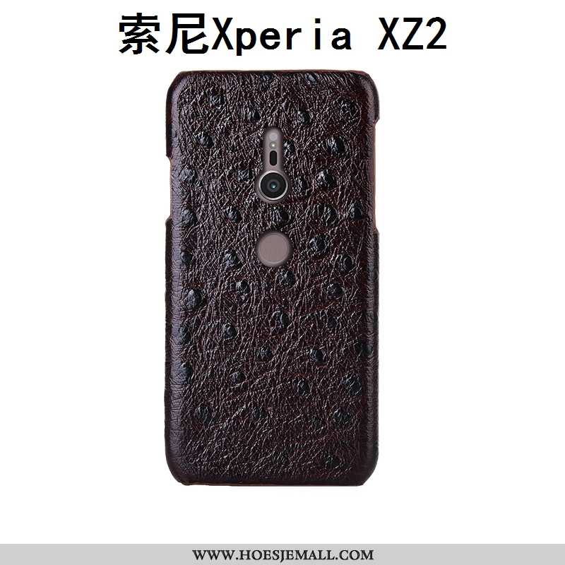 Hoesje Sony Xperia Xz2 Scheppend Echt Leer Pas Anti-fall Patroon Mobiele Telefoon Mode Bruine