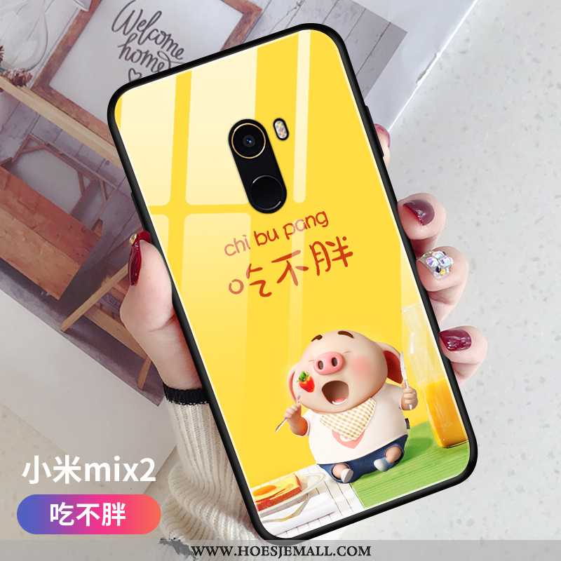 Hoesje Xiaomi Mi Mix 2 Siliconen Bescherming Roze Zacht Mobiele Telefoon Glas Lovers