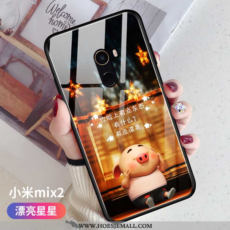 Hoesje Xiaomi Mi Mix 2 Siliconen Bescherming Roze Zacht Mobiele Telefoon Glas Lovers