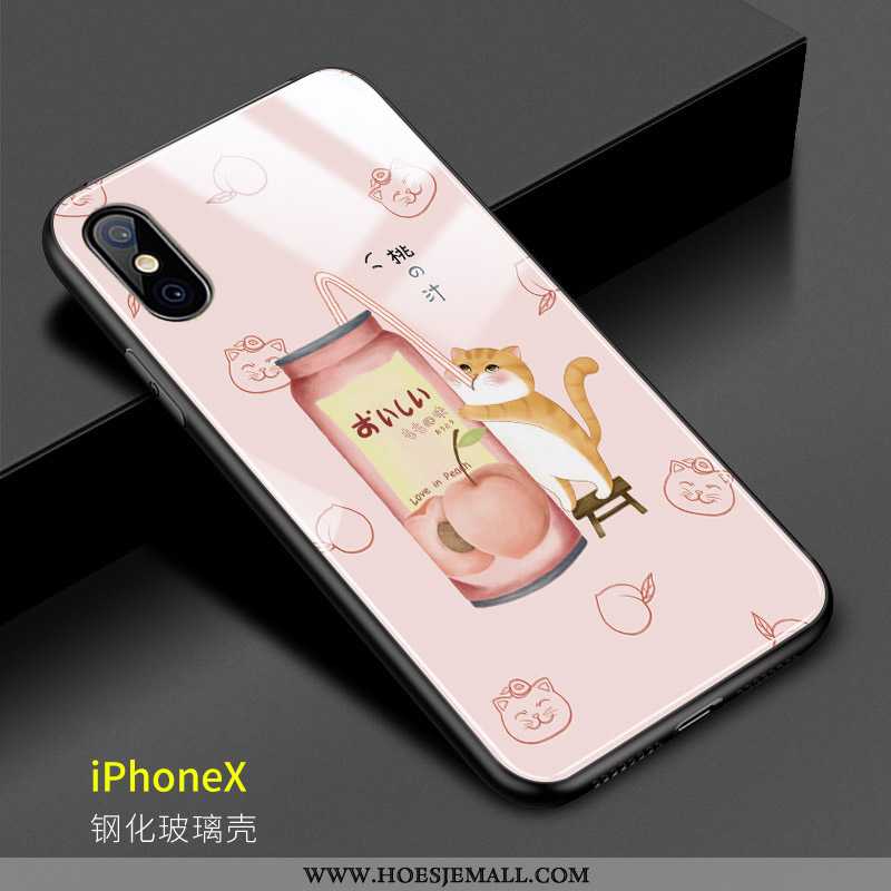 Hoesje iPhone X Mooie Glas Vers Kat Spiegel Hard Mobiele Telefoon Roze