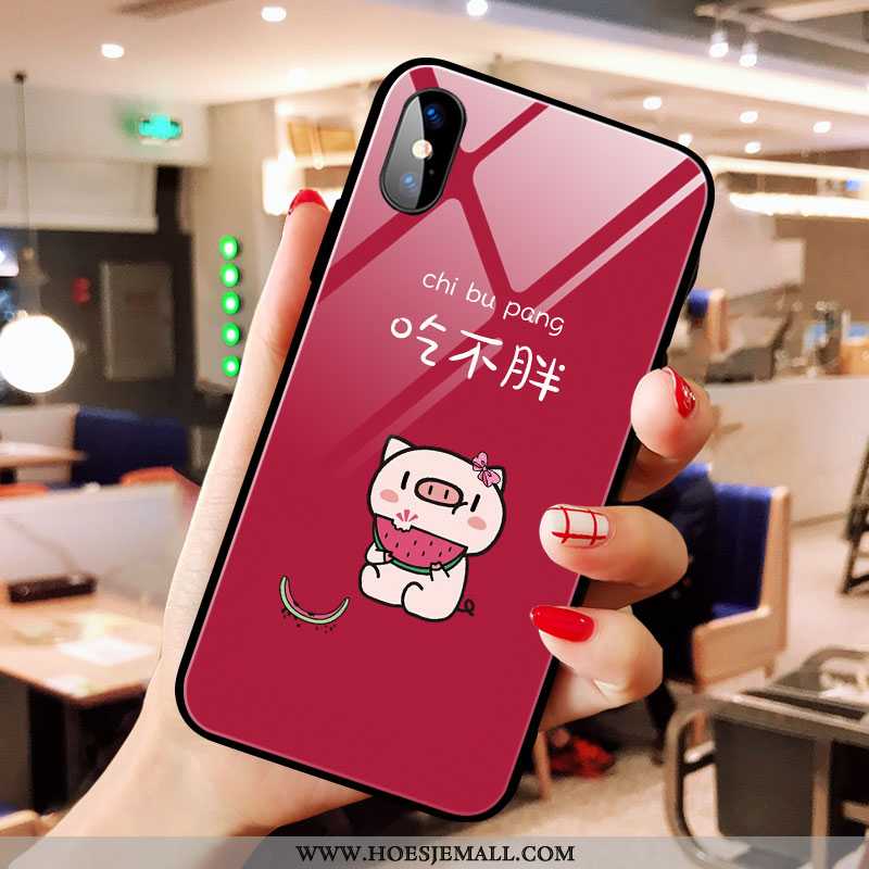 Hoesje iPhone X Trend Super Spotprent Net Red Lovers Zoet Glas Zwarte