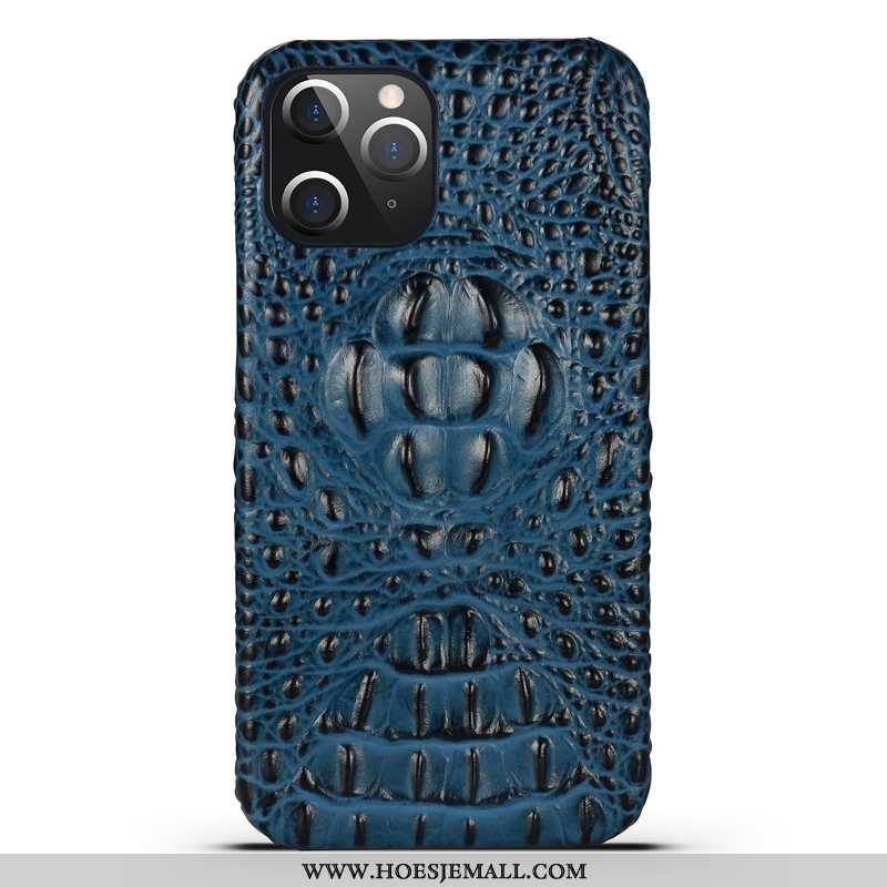 Hoesje iPhone 12 Pro Max Persoonlijk Echt Leer Trend Bescherming Dun All Inclusive Blauw Blauwe