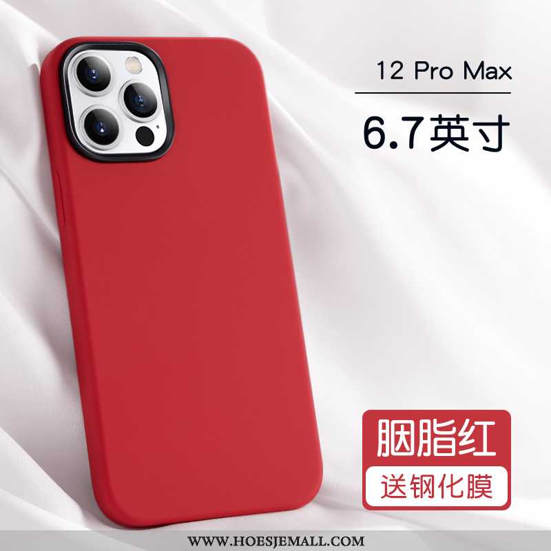 Hoes iPhone 12 Pro Max Trend Siliconen Bescherming Hoesje Persoonlijk Mobiele Telefoon Purper