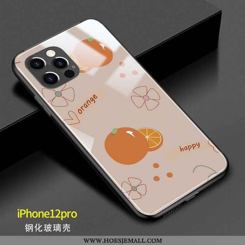 Hoes iPhone 12 Pro Siliconen Glas Mini Oranje Mooie Spiegel Nieuw