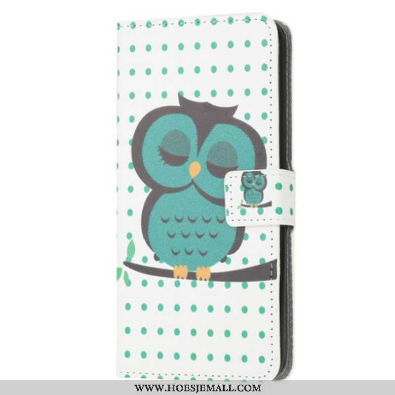 Folio-hoesje voor iPhone 13 Mini Slapende Uil