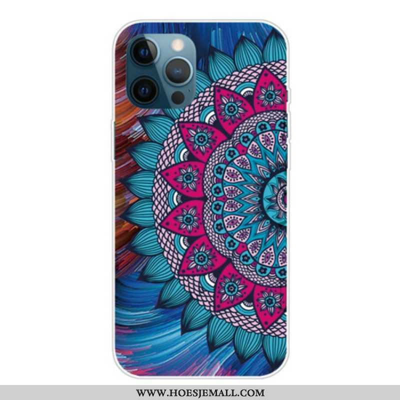 Hoesje voor iPhone 13 Pro Max Kleurrijke Mandala