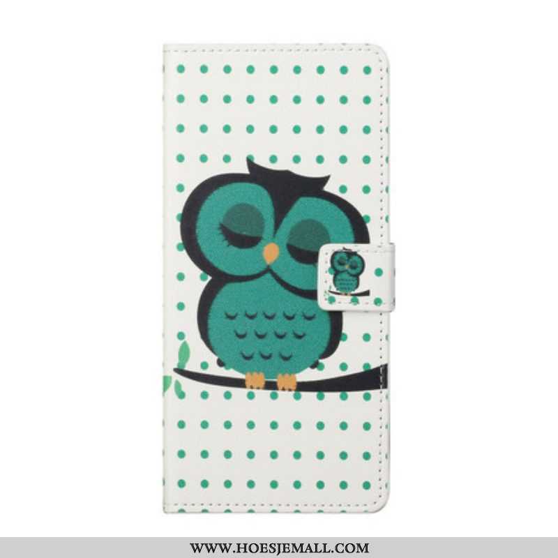 Flip Case voor iPhone 13 Pro Slapende Uil