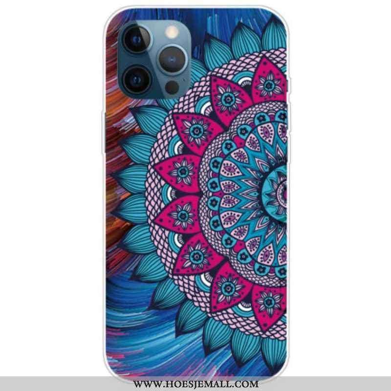 Telefoonhoesje voor iPhone 14 Pro Max Kleurrijke Mandala